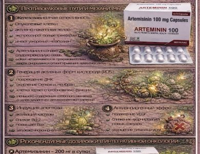 Артемизинин -  железо, ROS и селективный оксидативный стресс в опухолевых клетках